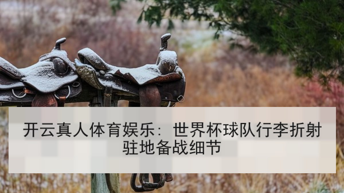 开云真人体育娱乐: 世界杯球队行李折射驻地备战细节 开云真人体育娱乐: 世界杯球队行李折射驻地备战细节