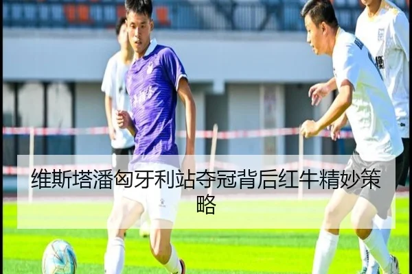wei-si-ta-pan-xiong-ya-li-zhan-duo-guan-bei-hou-hong-niu-jing-miao-ce-lve-3-893.jpg
