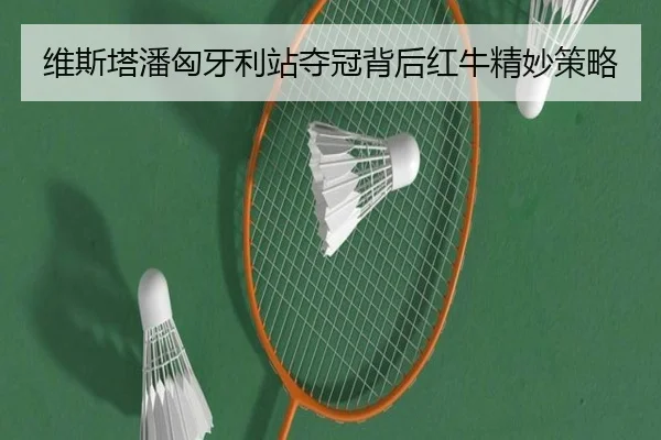 维斯塔潘匈牙利站夺冠背后红牛精妙策略