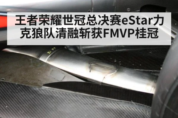 王者荣耀世冠总决赛eStar力克狼队清融斩获FMVP桂冠